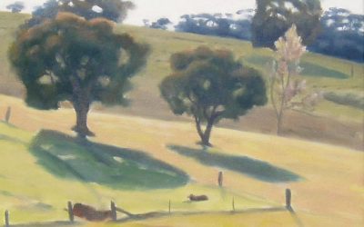 Remnants and the green paddock