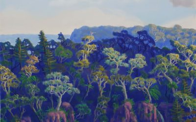 Sunlight Across the Bluff