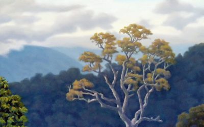 Bessy and remnant rainforest 2