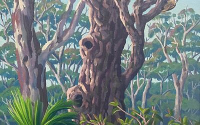 Riflebird and Old Tree