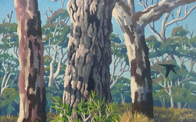 Cockatoo and Tallowwood